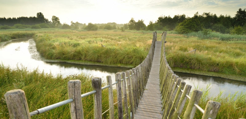 Brug over water tussen het hoge gras